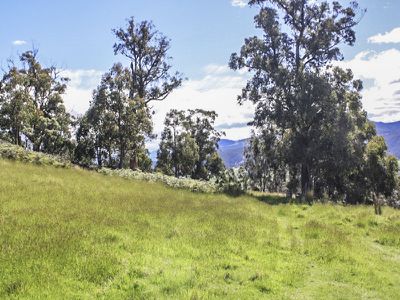 Grove