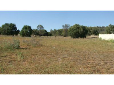 5 Mitchell Place, Gunnedah