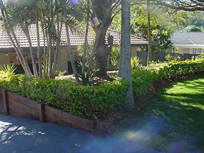 8 Hawdon Crescent, Springwood
