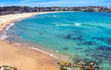 24 / 61 Curlewis Street, Bondi Beach