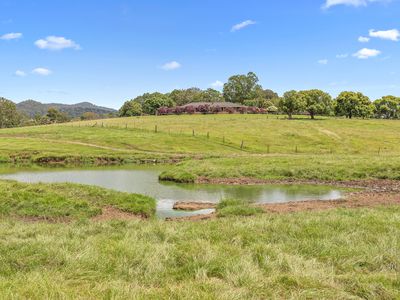 3604 MALENY KENILWORTH ROAD, Kenilworth