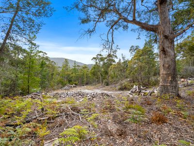 132 Cliffords Road, Deep Bay