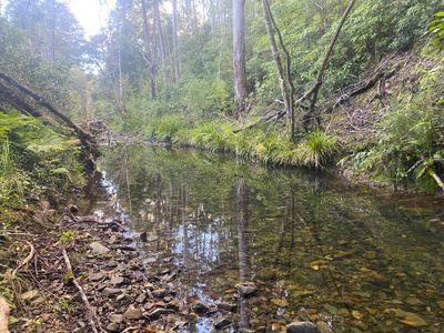 Lot 94, 2667 Pappinbarra Road, Pappinbarra