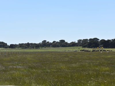 1404 Canunda Frontage Road, Millicent