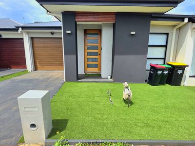 8 Lord Street, Thornhill Park