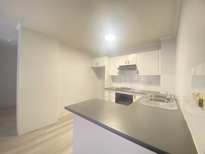 N109 / 233 HARRIS STREET, Pyrmont