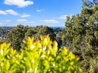 5 Dunbar Court, Buderim