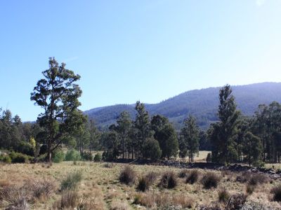 Lot 10, Lonnavale Road, Lonnavale