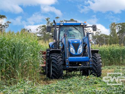 Lot Plain View South, 916 Emmaville Road, Glen Innes