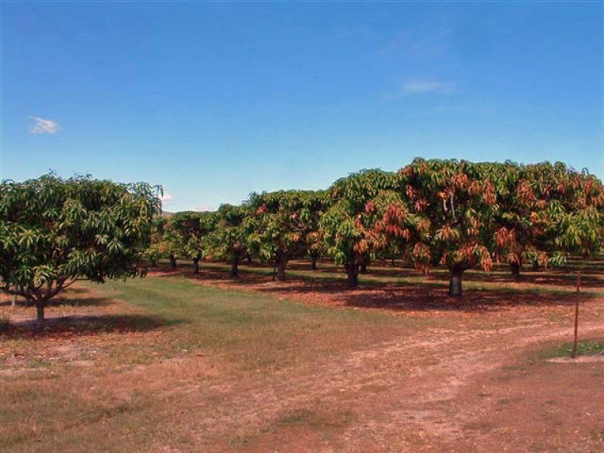 Mareeba