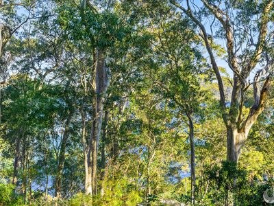 19 Hillcrest Avenue, North Narooma