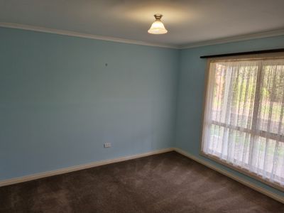 116 Hakea Drive, Millicent