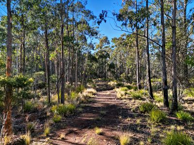 123 Lake View Road, Lake Leake