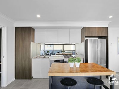 52 Watkin Crescent, Marsden Park