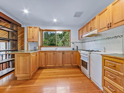 110 Orchid Road, Cannon Valley