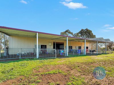 61 Forest Lane, Markwood