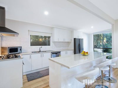 19 Fraser Street, Dandenong North