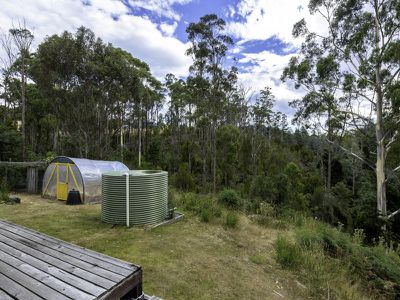 243 Judds Creek Road, Judbury