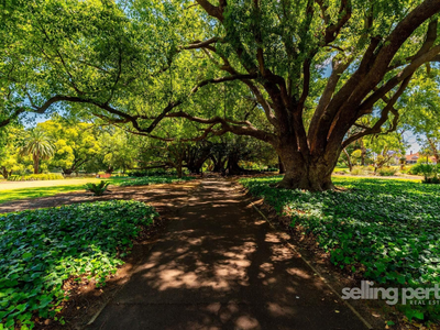 42 / 537 William Street, Mount Lawley