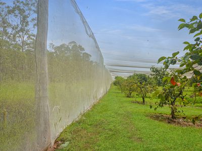 1888 TUMOULIN ROAD, Ravenshoe