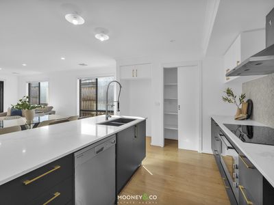 4 Tulloch Street, Botanic Ridge
