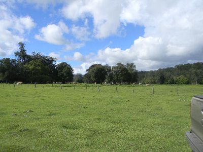 3568 Maleny Kenilworth Road, Kenilworth