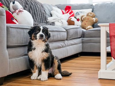 61 Onyx Road, Mount Richon