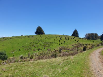 Lot 1 (51 Acres) Coal Mine Road, Kaoota