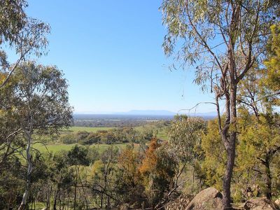 253 Warby Tower Road, Killawarra