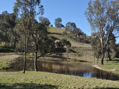 259 / Central Reserve Road, Ettamogah