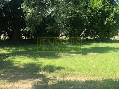 38 Main Street, Pentland