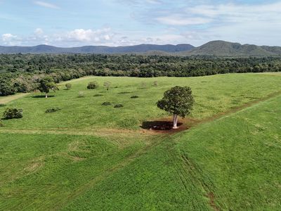 2583  Isabella McIvor Road , Cooktown