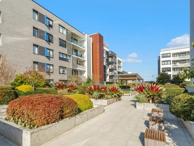 406 / 64 Charlotte Street, Campsie