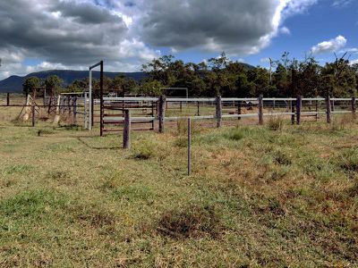 125 Flaggy Road, Cooktown