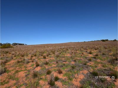 122 / East Front Road, Younghusband