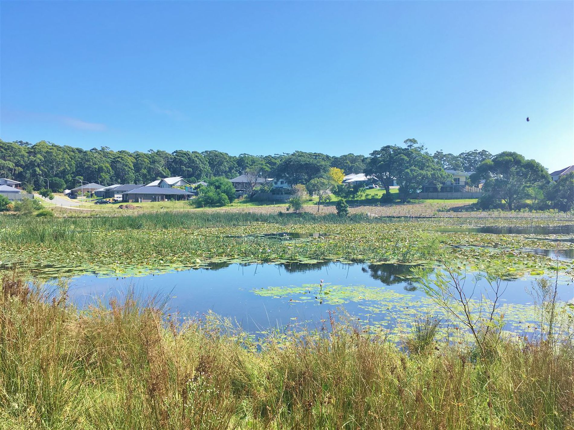 38 Macquarie Drive, Burrill Lake