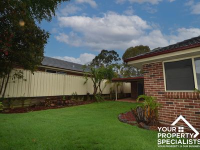 13 Solander Place, Mount Annan