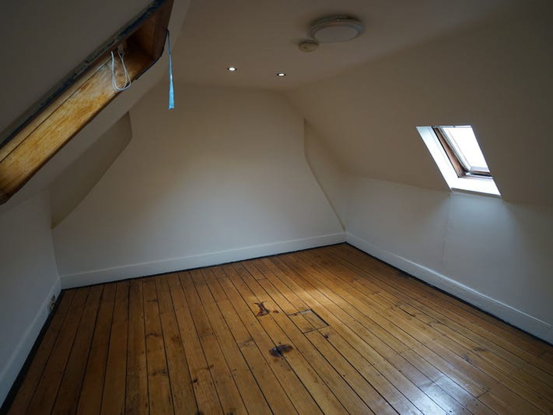 55 Waterloo Street, Surry Hills