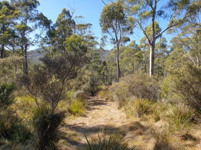 Lot 2, Lowes Road, Garden Island Creek