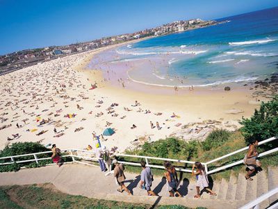 4 / 31 Mitchell Street, North Bondi