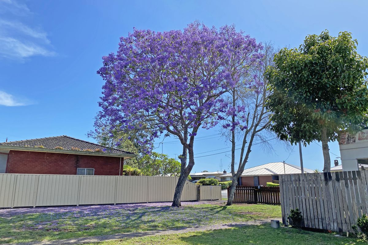 98 Wingham Road, Taree