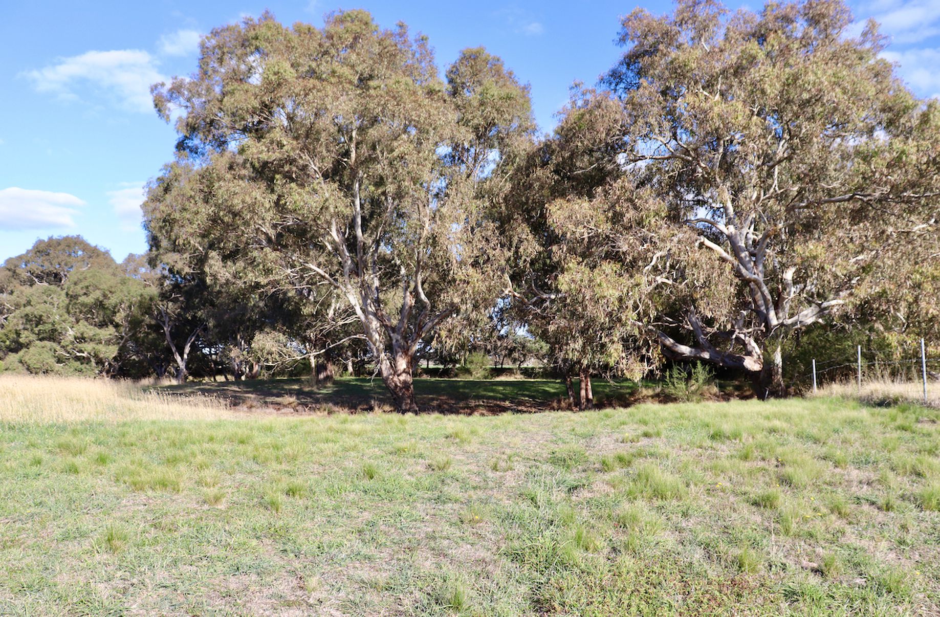 Lot 108, Terrier Road, Inverleigh