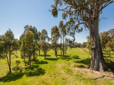 113 Whalans Track, Lancefield