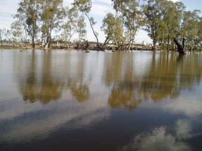 293 ISLAND ROAD, Cohuna