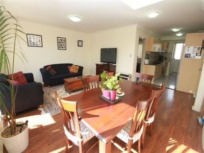 20 / 818 Canterbury Road, Roselands