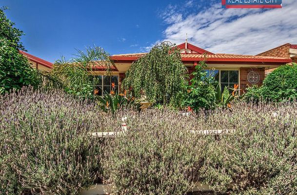 51 Willmott Drive, Craigieburn