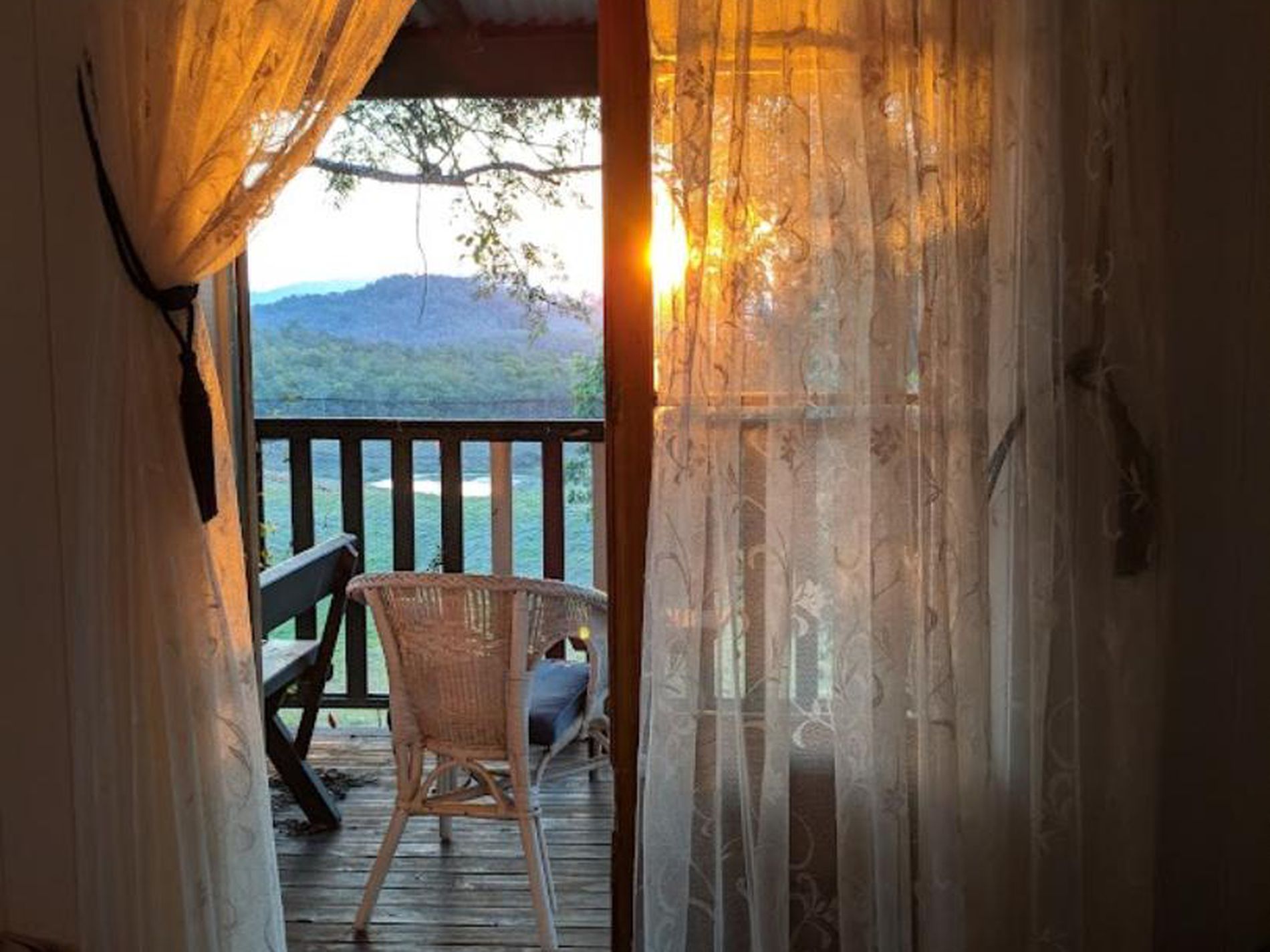 474 Whelan Road, Bollier