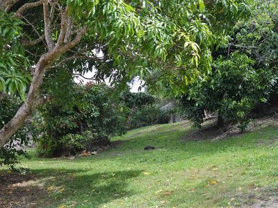 Lot 1 Cedar Street, Maleny