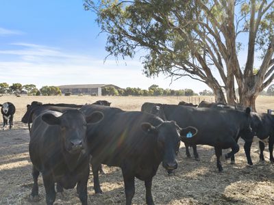 Lot 63, McCullochs Road, Tocumwal