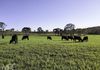 660 Kerrs Creek Road, Kerrs Creek